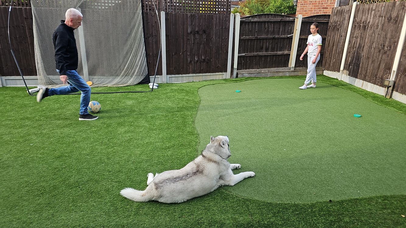 image of customers garden with Cape Cabet Artificial Grass in Hornchurch RM11