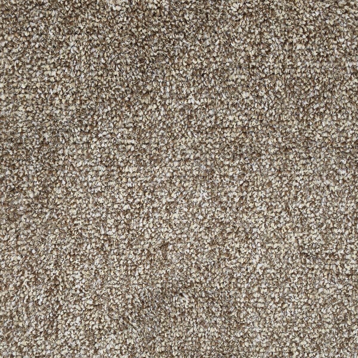 Amara Toasted colour swatch – in stock at Carpet World London Chingford