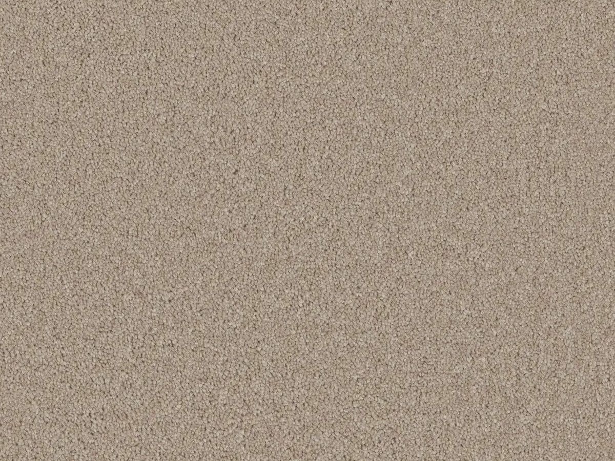 Bliss Sienna colour swatch – in stock at Carpet World London Chingford