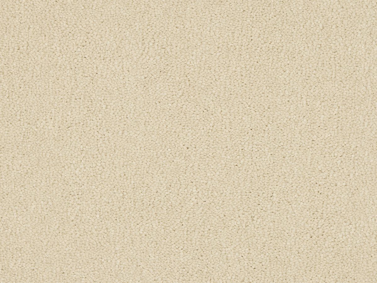 Euphoria carpet in stock at Carpet World London Chingford