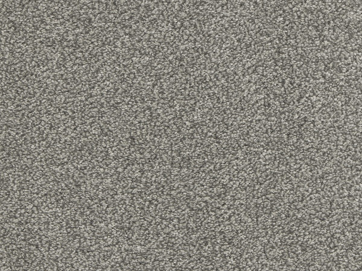 Euphoria Graphite colour swatch – in stock at Carpet World London Chingford