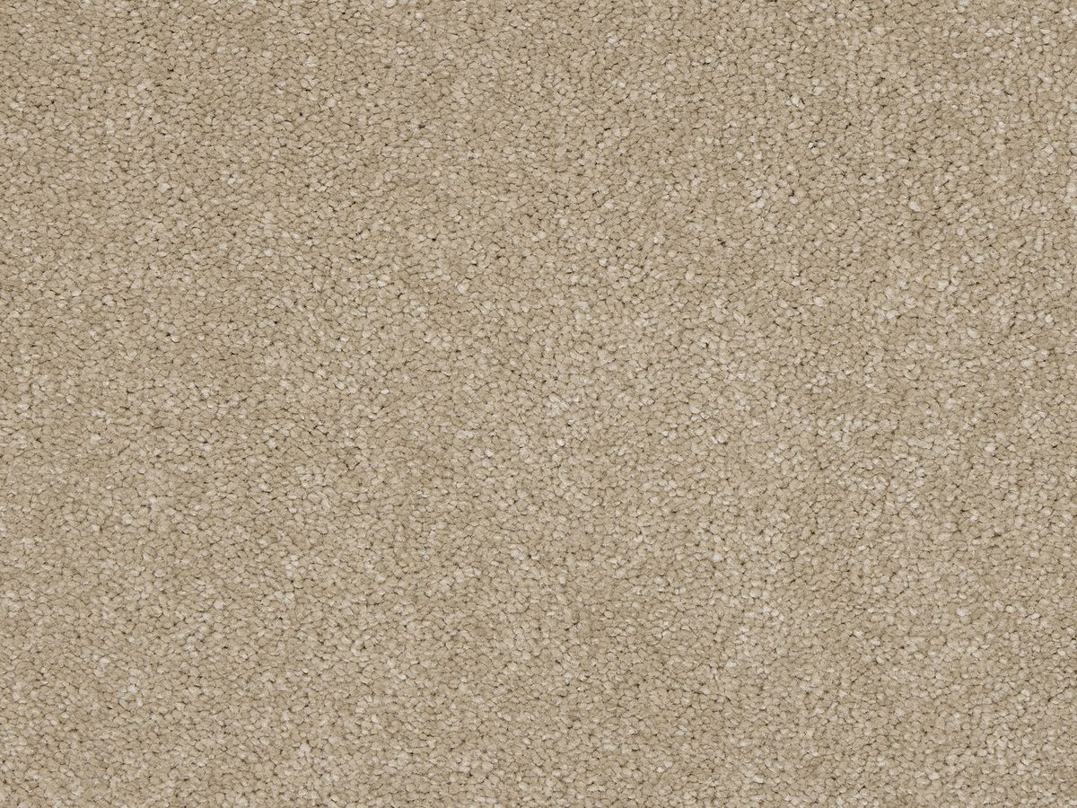 Euphoria Mink colour swatch – in stock at Carpet World London Chingford