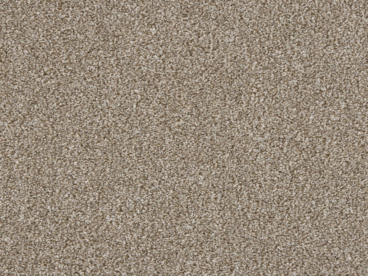 Euphoria Nutmeg colour swatch – in stock at Carpet World London Chingford