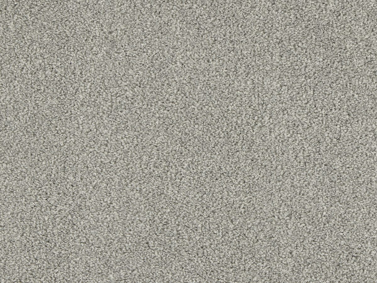 Euphoria Seal colour swatch – in stock at Carpet World London Chingford