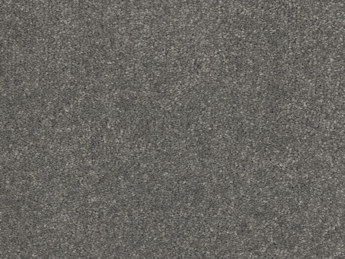Euphoria Velvet colour swatch – in stock at Carpet World London Chingford