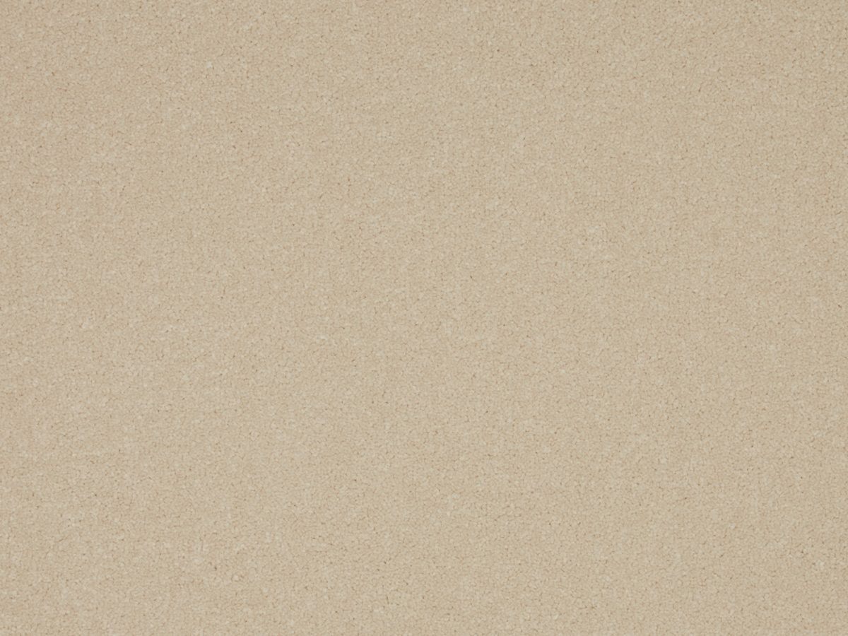 Primo Plus carpet in stock at Carpet World London Chingford