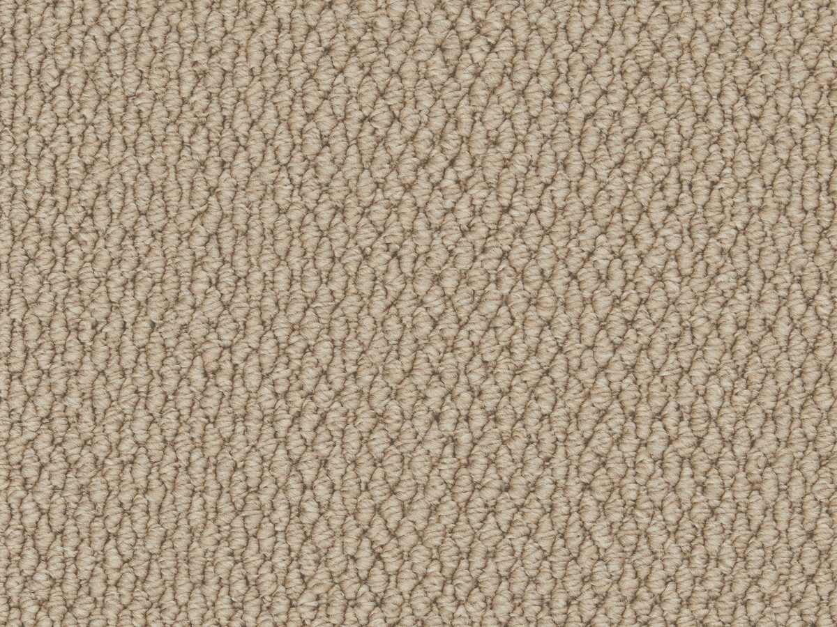 Primo Textures Elk colour swatch – in stock at Carpet World London Chingford