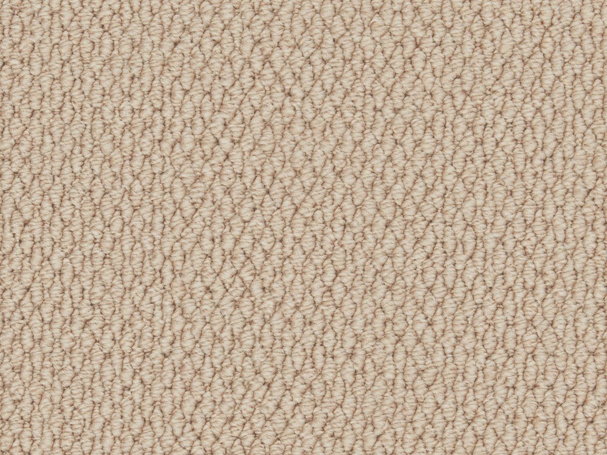 Primo Textures Tapestry colour swatch – in stock at Carpet World London Chingford