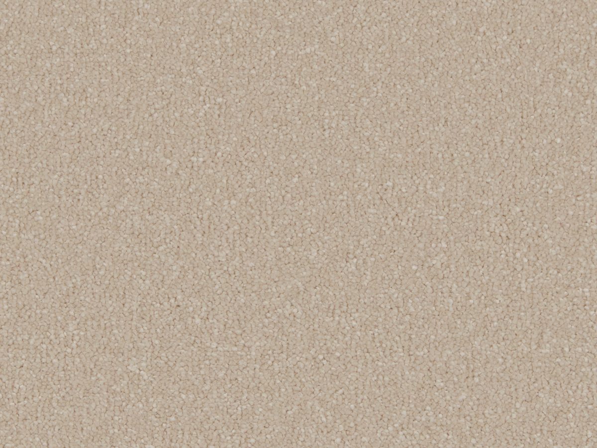 Silken Serenity Antique White colour swatch – in stock at Carpet World London Chingford