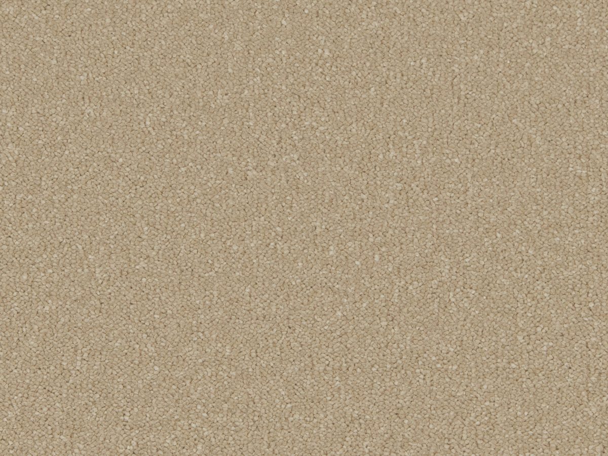 Silken Serenity Malt colour swatch – in stock at Carpet World London Chingford