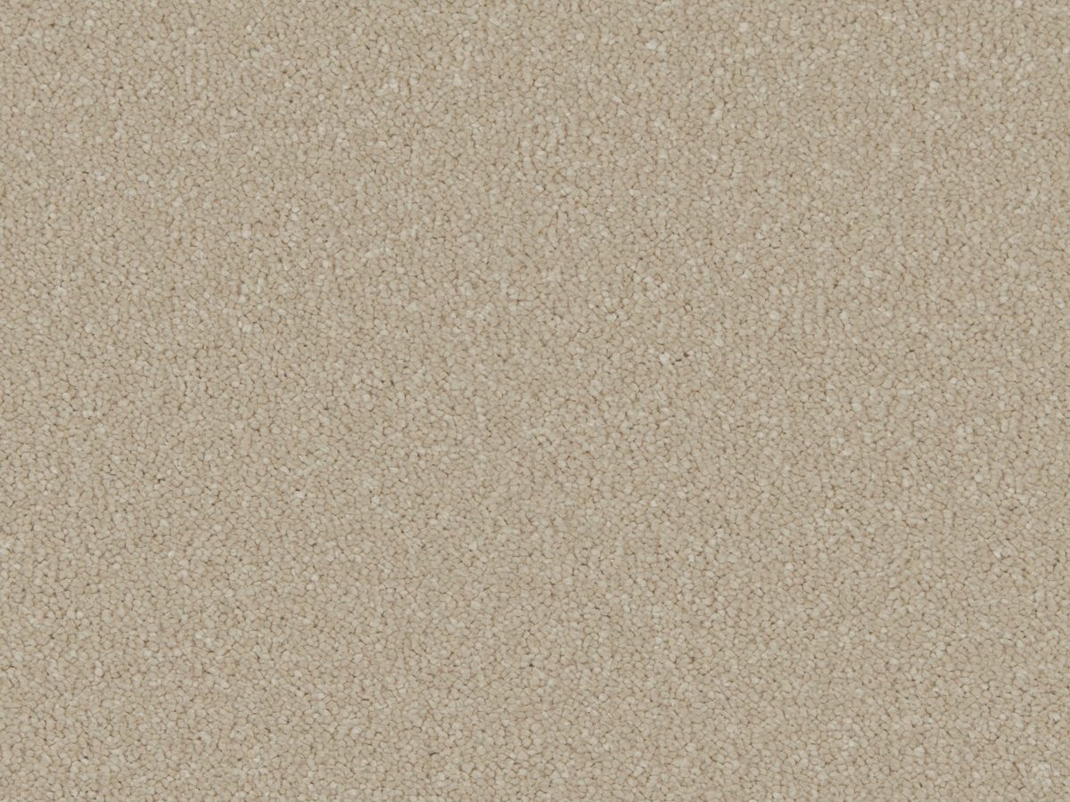 Silken Serenity Stucco colour swatch – in stock at Carpet World London Chingford