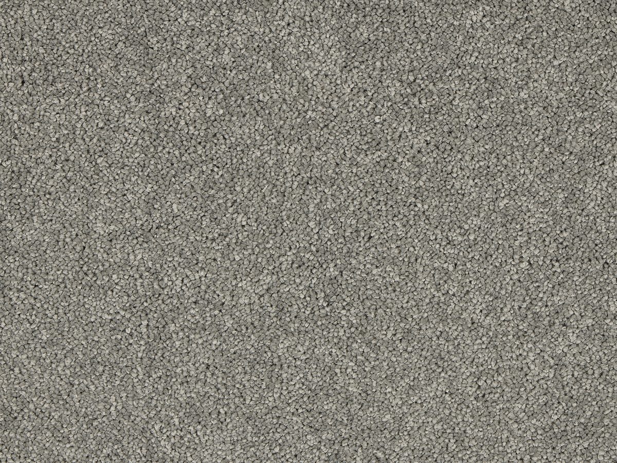 Velvet Dreams carpet in stock at Carpet World London Chingford