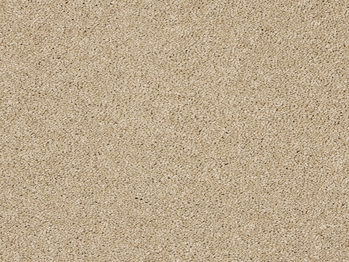 Velvet Dreams Soft Buff colour swatch – in stock at Carpet World London Chingford